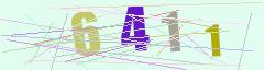 CAPTCHA validation image