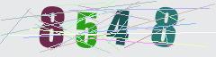 CAPTCHA validation image