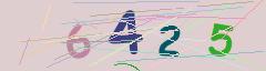 CAPTCHA validation image