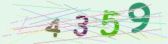 CAPTCHA validation image
