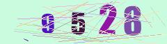 CAPTCHA validation image