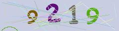 CAPTCHA validation image