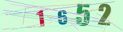 CAPTCHA validation image