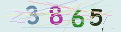 CAPTCHA validation image