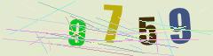 CAPTCHA validation image