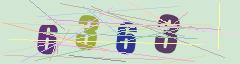 CAPTCHA validation image