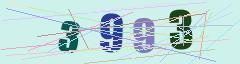 CAPTCHA validation image
