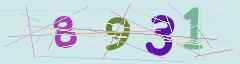 CAPTCHA validation image