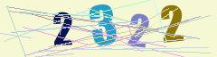 CAPTCHA validation image