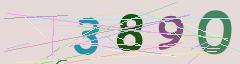 CAPTCHA validation image