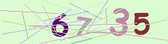 CAPTCHA validation image