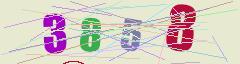 CAPTCHA validation image