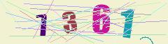 CAPTCHA validation image