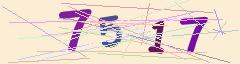 CAPTCHA validation image