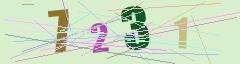CAPTCHA validation image