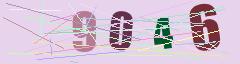 CAPTCHA validation image
