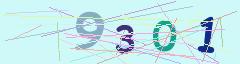 CAPTCHA validation image