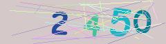 CAPTCHA validation image