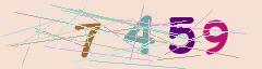 CAPTCHA validation image